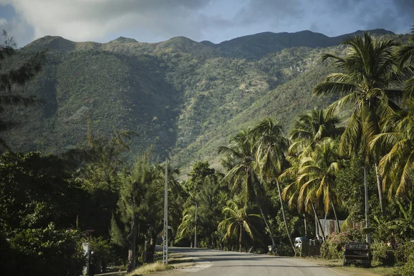 Road with palm trees, valley and mountains in the background. 'Grand Anse' region, Haiti