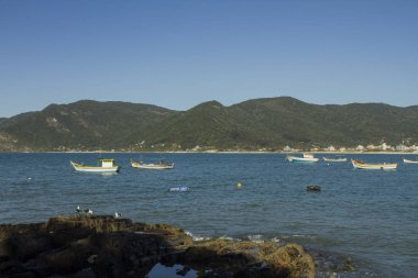 Balıkçı tekneleri 'Pantano do Sul' Beach, adanın güneyinde bir kaya seaguls palamarla. Mavi gökyüzü güneşli gün. Hiç bulutlar.