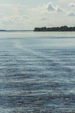 'Rio Negro' nehir seyahat. Dalgaların su. Amazon yağmur ormanları. Güneşli bir gün, Amazonas / Brezilya