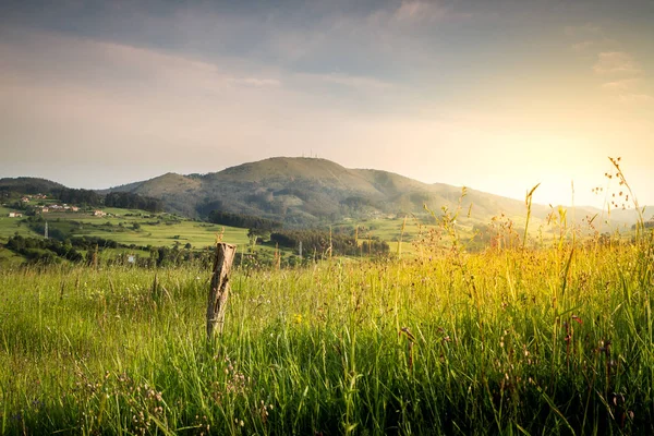 Pico Friera in Callezuela Royalty Free Stock Images