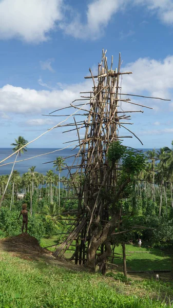Деревянная Башня Построенная Ритуала Дайвинга Центре Вануату — стоковое фото