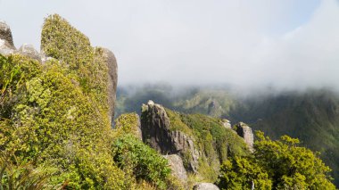 14km uzun Pinnacles yürüyüş muhteşem manzaralı, Coromandel Yarımadası, Yeni Zelanda
