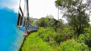 Yolda çay bitkileri ile tepelerin üzerinden Sri Lankalı trenle