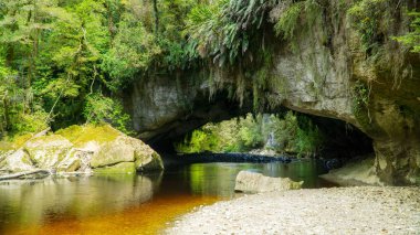 Ormanda, Yeni Zelanda gizli Havzası Oparara Arches