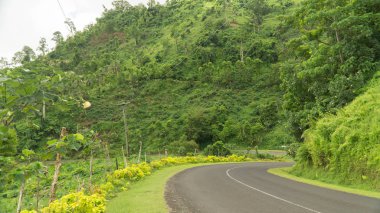 Boş yol Samoa tropikal peyzaj ile lider