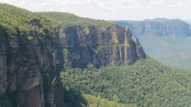Springbrook Milli Parkı'nın ortasında kanyon manzarası, Avustralya