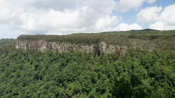 Kilátás Kanyon Közepén Springbrook Nemzeti Park Ausztrália — Stock Fotó