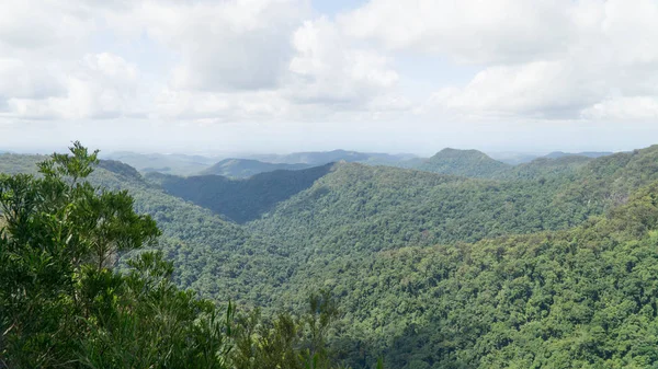 Slavný Národní Park Blue Mountains Modrou Mlhou Nad Eukalypty Stromy — Stock fotografie