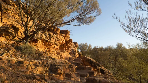 Obrovský Královský Kaňon Austrálii — Stock fotografie