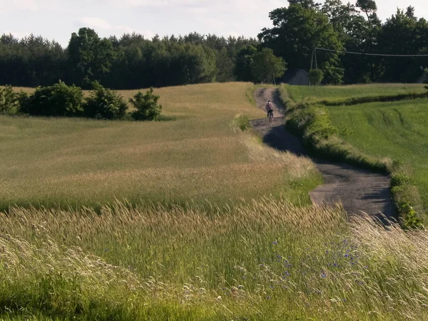 Landschap Typisch Poolse Natuur Velden Weiden Zomer Tijd — Stockfoto