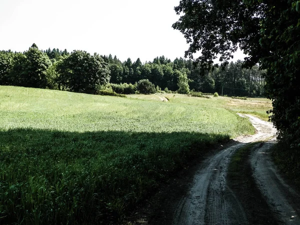 Een Reis Door Het Kasjoebische Dorp Kasjoebisch Gebied Ligt Het — Stockfoto