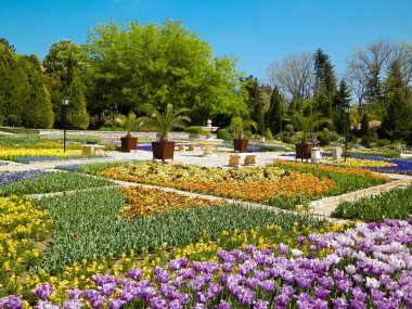 Bulgaristan 'ın Dobrich ilindeki Balchik Sarayı' nın bahçesinde. Yaz zamanı, bir sürü çiçek. Turizm konsepti.