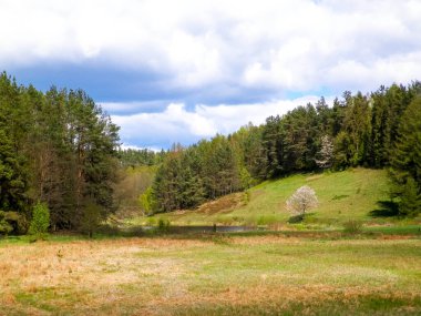 Orman ve çayırlar - Kazhubia 'nın Güzelliği, Kuzey Polonya. Seyahat ve doğa kavramı.