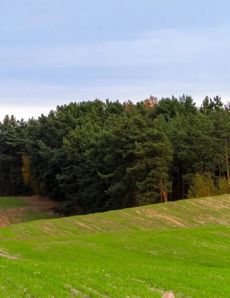Zöld Mező Dombok Észak Lengyelország Természete Utazás Természet Fogalma — Stock Fotó