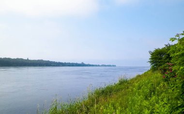 Vistula 'nın haliçleri Sobieszewska adasından görüldü. Kuzey Polonya 'nın doğası.