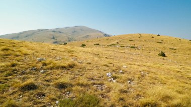 Makedonya 'nın Galicica Ulusal Parkı' ndaki Dağların Tepesi. Galiçya, Ochrid ve Prespa olmak üzere iki göl arasındaki ulusal parktır. Balkan doğası ve keşif kavramı.