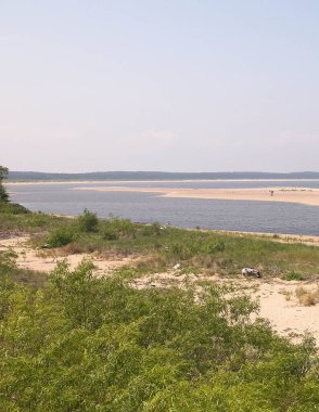 Sobieszewska Adası 'ndaki Baltık Denizi Kıyısı. Vistula Nehri 'nin kıyısında. Kuzey Polonya 'nın doğası.