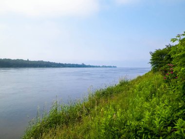 Vistula 'nın haliçleri Sobieszewska adasından görüldü. Kuzey Polonya 'nın doğası.