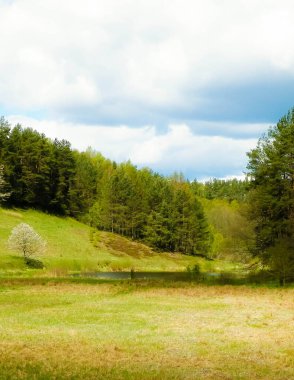 Tepeler, çayırlar ve Kuzey Polonya, Kashubian Bölgesi 'nin tipik orman manzarası. Seyahat ve doğa kavramı.