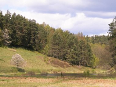 Tepeler, çayırlar ve Kuzey Polonya, Kashubian Bölgesi 'nin tipik orman manzarası. Seyahat ve doğa kavramı.