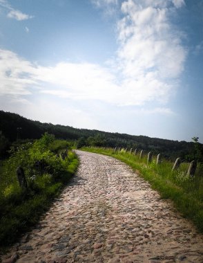 Wiezyca, Polonya 'daki tarlaların içinden. Kashubia doğası - Kuzey Polonya 'nın güzel bölgesi.
