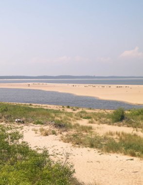 Sobieszewska Adası 'ndaki Baltık Denizi Kıyısı. Vistula Nehri 'nin kıyısında. Kuzey Polonya 'nın doğası.