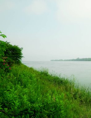 Vistula 'nın haliçleri Sobieszewska adasından görüldü. Kuzey Polonya 'nın doğası.
