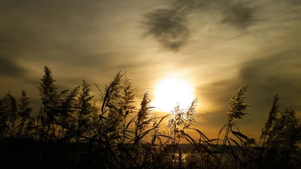 Beautiful View Sunrise Vistula Lagoon Coast Close Frombork City — Stock Photo, Image