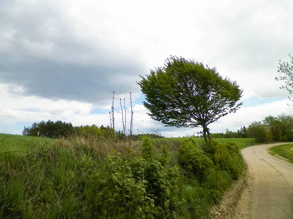 卡舒比亚的越线 波兰北部卡舒比亚地区的典型景观 旅行和自然概念 — 图库照片