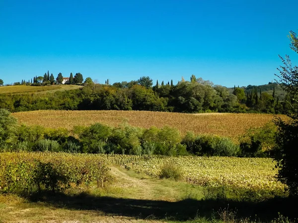 Colinas Campos Prados Vistas Típicas Toscana Viajes Naturaleza Agricultura Vacaciones — Foto de Stock