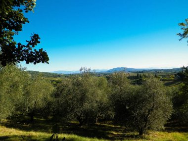 Tepeler, tarlalar ve çayırlar - tipik Toskana manzarası, İtalya. Seyahat, doğa ve tarım kavramı. Güneşli bir sonbahar günü, İtalya 'da tatiller. Boşluğu kopyala.