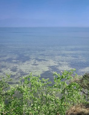 Baltık Denizi 'nin Pucka Körfezi' nin çarpıcı manzarası. Gökyüzünde boşluk kopyala.