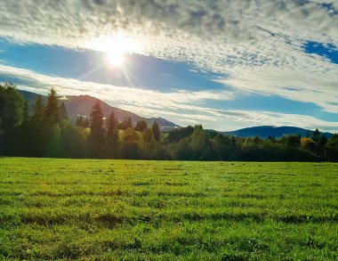 Güneşli bir günde Polonya Bieszczady Dağları 'nın güzel manzarası. Karpatların güzelliğini keşfetmek.