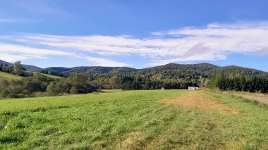 Güneşli bir günde Polonya Bieszczady Dağları 'nın güzel manzarası. Karpatların güzelliğini keşfetmek.