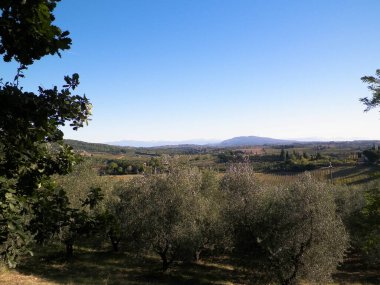 Tepeler, tarlalar ve çayırlar - tipik Toskana manzarası, İtalya. Seyahat, doğa ve tarım kavramı. Güneşli bir sonbahar günü, İtalya 'da tatiller. Boşluğu kopyala.