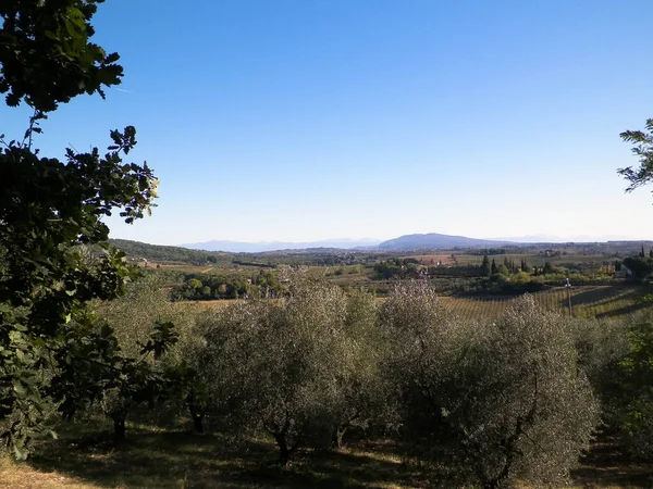 Tepeler, tarlalar ve çayırlar - tipik Toskana manzarası, İtalya. Seyahat, doğa ve tarım kavramı. Güneşli bir sonbahar günü, İtalya 'da tatiller. Boşluğu kopyala.
