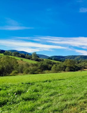 Güneşli bir günde Polonya Bieszczady Dağları 'nın güzel manzarası. Karpatların güzelliğini keşfetmek.