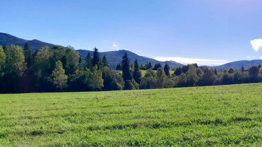 Güneşli bir günde Polonya Bieszczady Dağları 'nın güzel manzarası. Karpatların güzelliğini keşfetmek.