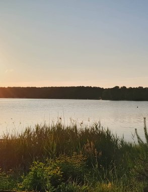Wdzydzkie Gölü, Kashubia 'da sabahın erken saatlerinde. Doğanın güzelliği.
