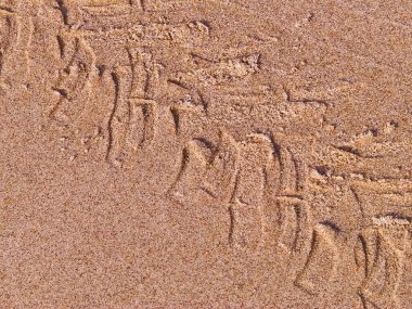 Çölün veya kumsalın üzerindeki lastik izleri. Doğal arka plan. Offroad ve seyahat kavramı.