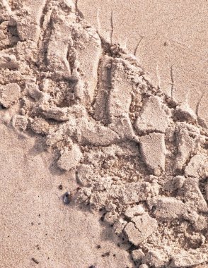 Çölün veya kumsalın üzerindeki lastik izleri. Doğal arka plan. Offroad ve seyahat kavramı.