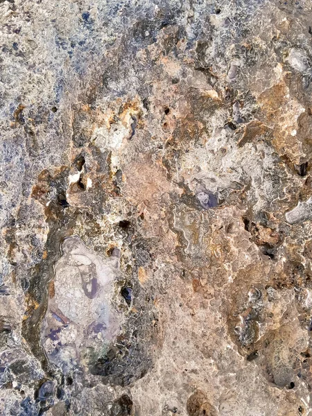 Doğal bir arka plan olarak kıyı kayaları ve deniz suyu. Boşluğu kopyala.