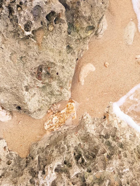 Doğal bir arka plan olarak kıyı kayaları ve deniz suyu. Boşluğu kopyala.