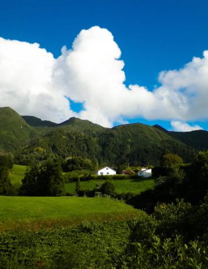 Sao Miguel Adası 'nda dağın tepesinde. Azores. Doğanın güzelliği.