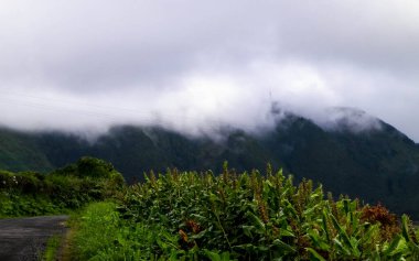 Sao Miguel Adası 'nın tipik manzarası. Yeşil tepeler ve yağmurlu hava. Azores 'in saf egzotik ve güzel doğası..