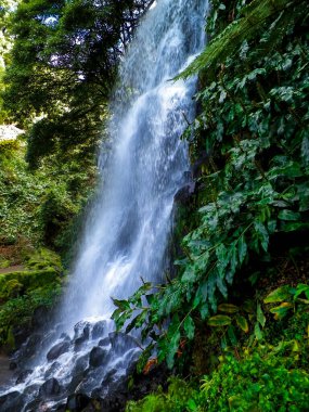 Azores 'de inanılmaz bir şelale. Sao Miguel Adası. Doğanın güzelliği.