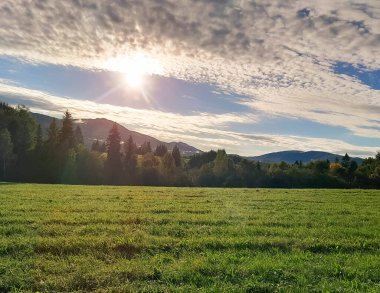 Güneşli bir günde Polonya Bieszczady Dağları 'nın güzel manzarası. Karpatların güzelliğini keşfetmek.