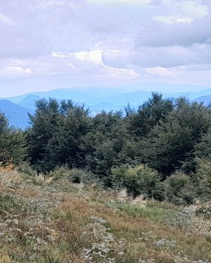 Dağın tepesinden Karpatların güzel manzarası. Doğanın güzelliği.