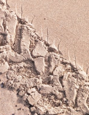 Çölün veya kumsalın üzerindeki lastik izleri. Doğal arka plan. Offroad ve seyahat kavramı.