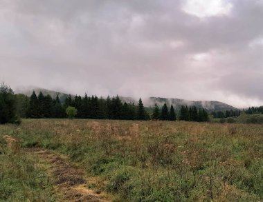 Bieszczady Dağları 'ndaki kara bulutlar. Fırtına geliyormuş. Polonya 'nın güneyi.